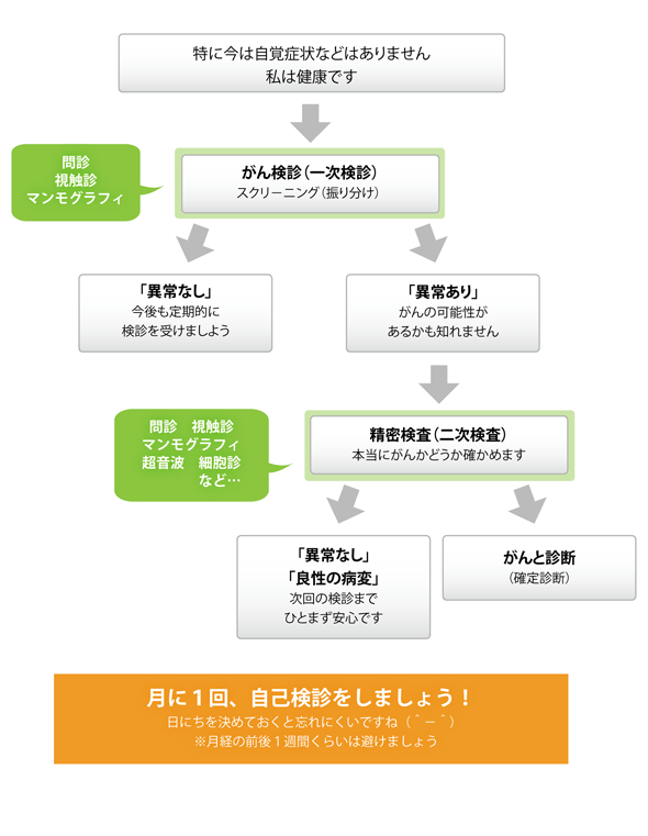 乳がん検診の流れ