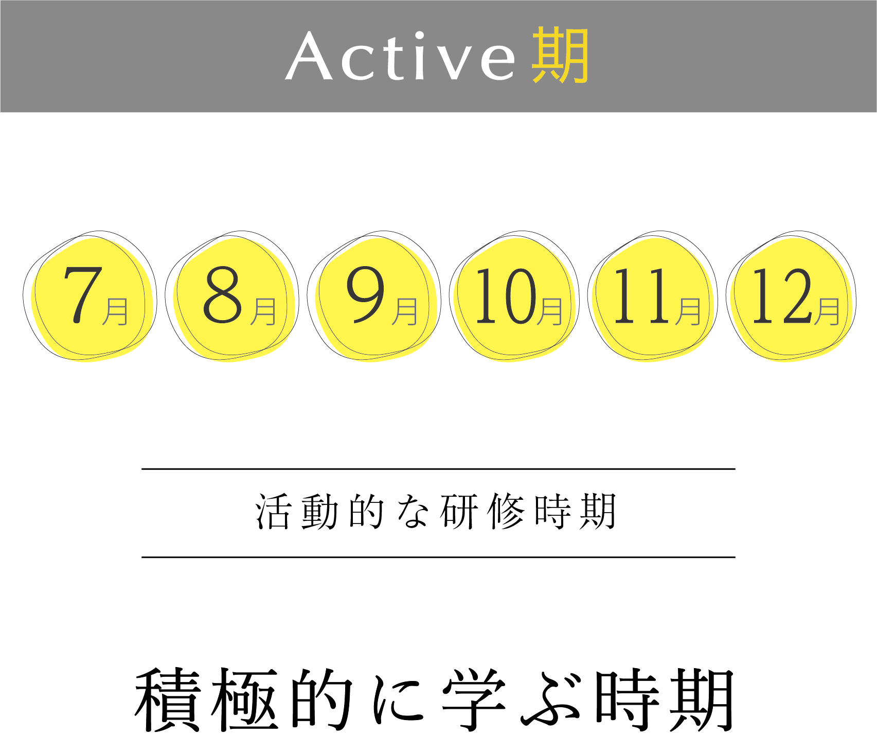 ７月から１２月は積極的に学ぶ時期